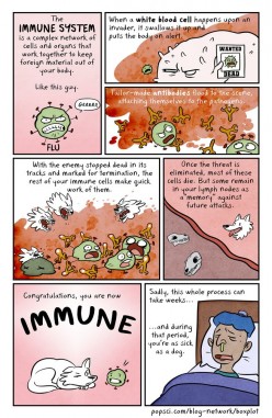 Immunity Boosting Tips