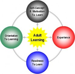 Learning in the Work Environment Part Two