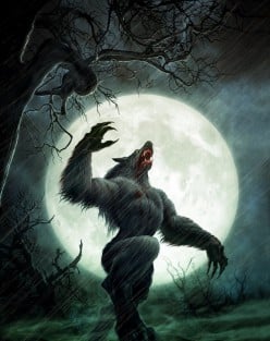 Howls in the Night