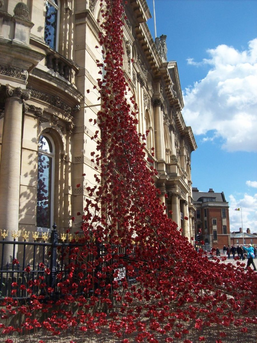 A weeping window of ceramic poppies