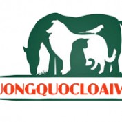 vquocloaivat profile image