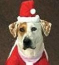 HubPages profile picture for @charley
