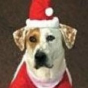 Charley profile image