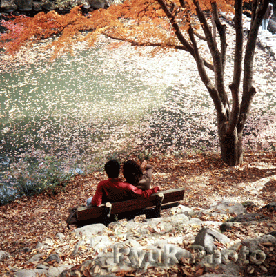autumn romance scene