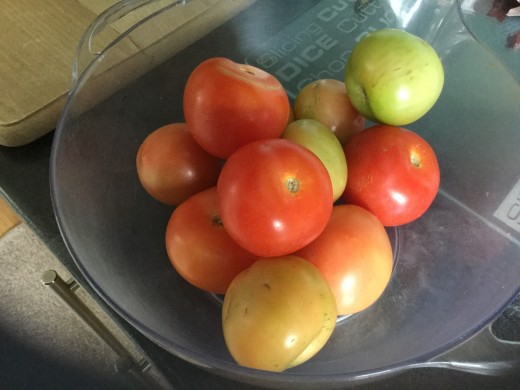 Mainly red with a few green tomatoes