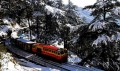 Shimla-Kalka (Heritage) Toy Train