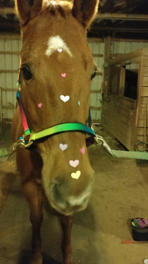 He tolerates everything, even valentines stickers!