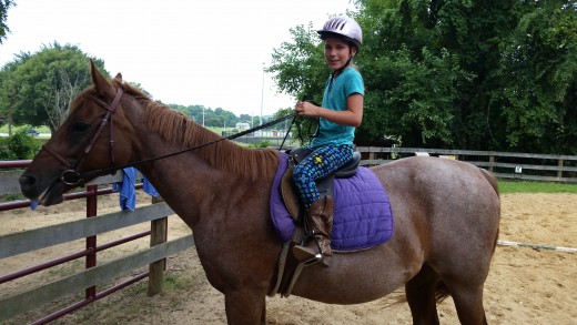 As you can see, she was getting pulled on pretty hard in this picture, she is super tolerant. Especially since she had to stop following her friends for this picture to be taken.