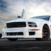 AmericanMuscle7 profile image