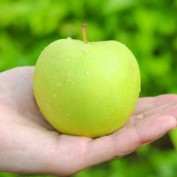 afghannews profile image