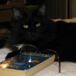 Gift Ideas for Cat Mystery Book Lovers