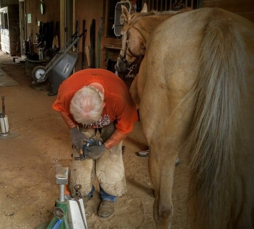 This is our former farrier, one of the biggest heroes in my horse world! He taught my a lot of the sixth sense I have for horses, and to never give up on doing what I love, as well as some weird horse lingo!