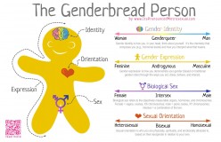 Sexual Identities Explained