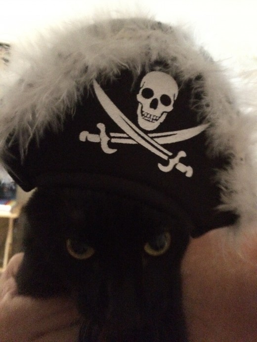 Arrr, Drizzt the Pirate
