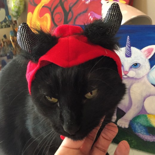 Our little devil, Drizzt
