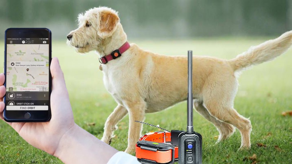 11 Best GPS Trackers and Collars For Dogs HubPages