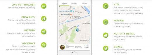 Features and Services