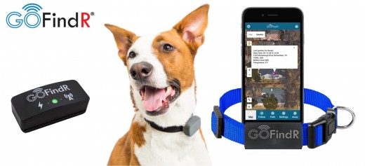GoFind R GPS Pet Tracker