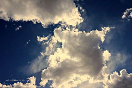 Photo by Idella Maeland on Unsplash