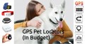 15 Cheap GPS Trackers For Pets