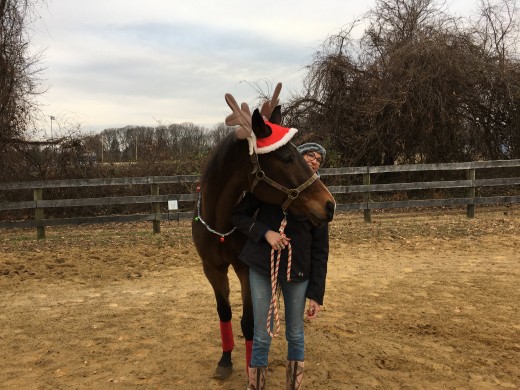 You wouldn't want to miss out on an opportunity to embarrass your horse, like I did to Kemerton for a Christmas card picture!