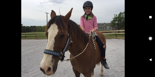 Johnny Cash is a good size, as a large pony he can carry a larger rider. So bigger kids can ride him for walk lessons ( he isn't sound enough for more than that). He is also great for pony rides,though it is harder lifting the kids up on taller ones!