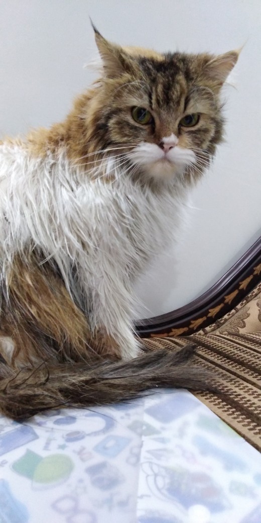 Mommy, I Hate Taking A Bath.