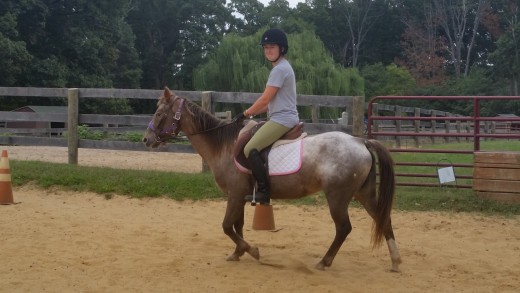 One of her first rides at our farm. We had just lunged her, and since we weren't sure of her yet, that is why she still has the halter on with the bridle. We don't normally do that!