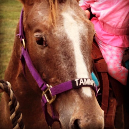 Cute little picture of Tammy with her name on her nose, out at a job giving rides!