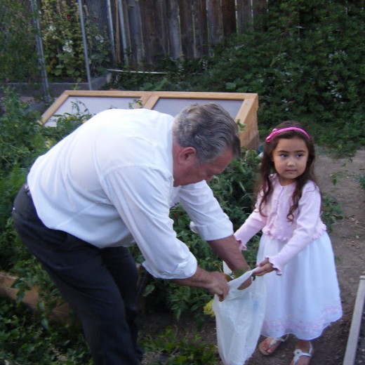 My dad in his garden with one of my granddaughters.