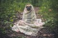 Halloween Safety for Pets