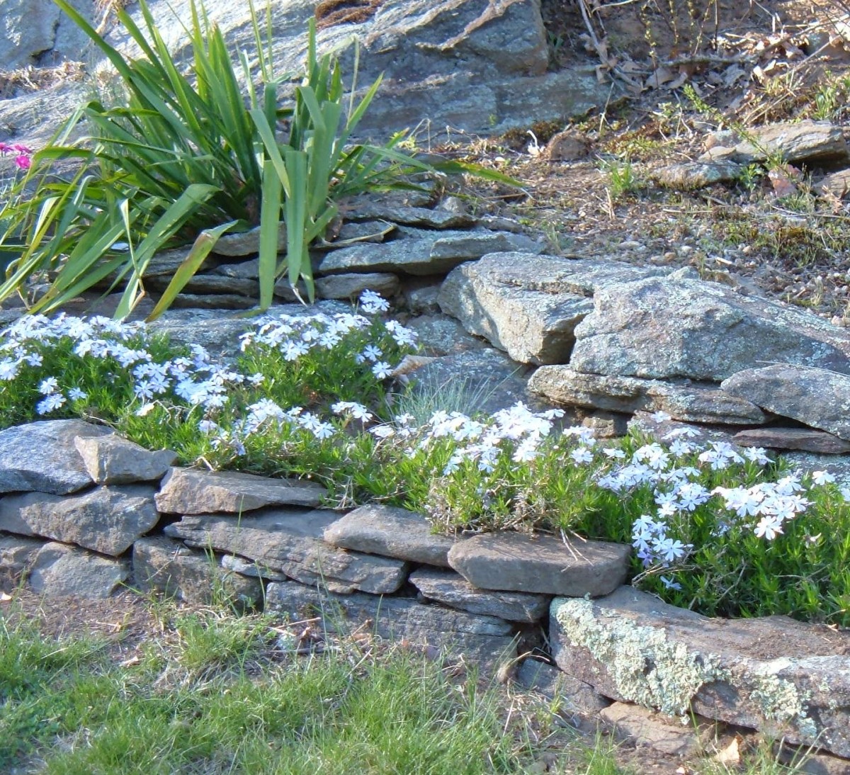 Minimalist Rock Garden Construction 