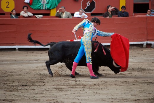 A typical bullfight between a matador and a bull.