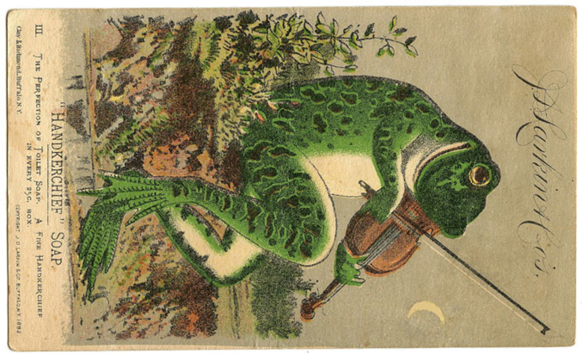 A frog playing a fiddle.