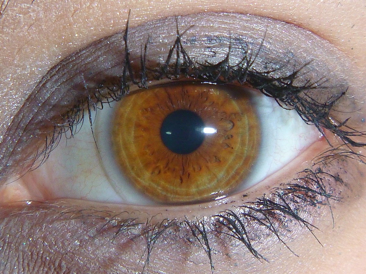 6 Rare and Unique Eye Colors | Owlcation