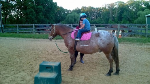 My lesson horses can always count on a treat after their lessons. 