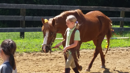 My horses gentle nature assures that they will always be safe and always have an important role to play in our program.