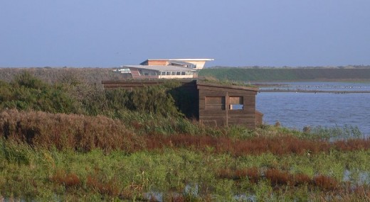 The Island Hide (foreground) and Parrinder Hide (background) as seen from the West Bank. Source: Jimfbleak via Wikimedia Commons