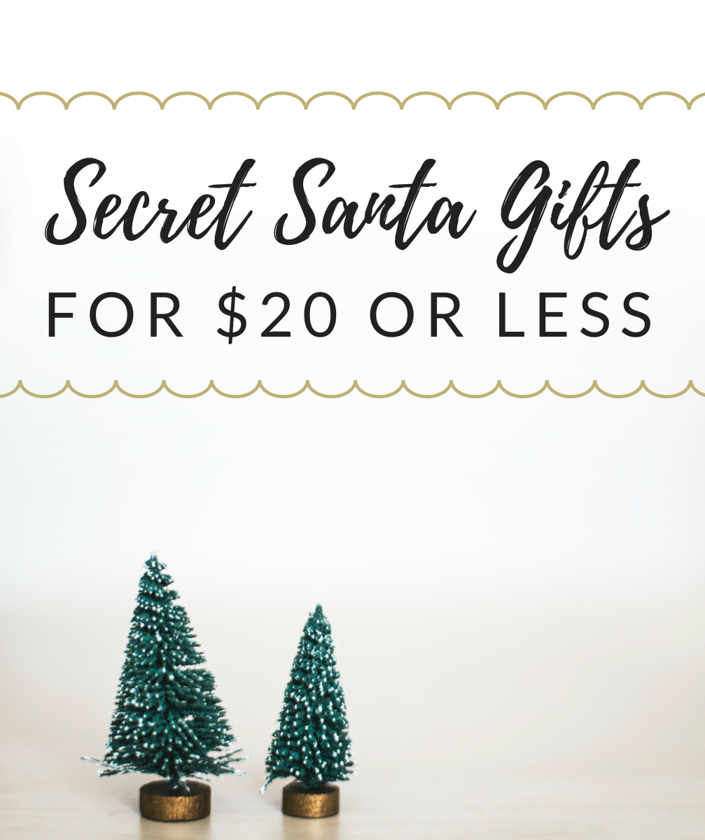Secret Santa Gift Ideas for Under $20