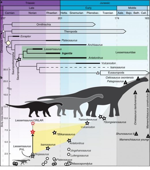 Ingentia and the other lessemsaurids’ place among sauropods, by Cecilia Apaldetti et al. Ledumahadi was not included because it had not been named yet.