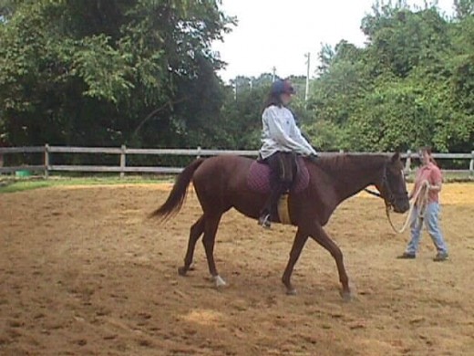 This photo is of my mare on the first day she ever had a person on her back! Kind of different situation but cool picture.