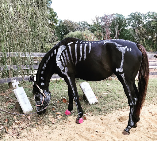 Halloween Zoe