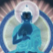 kung fu_librarian profile image