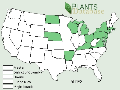 Green States grow Marshmallow, still used in teas and herbal medicine. 