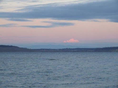 A distant view of Mt. Baker, Washington state
