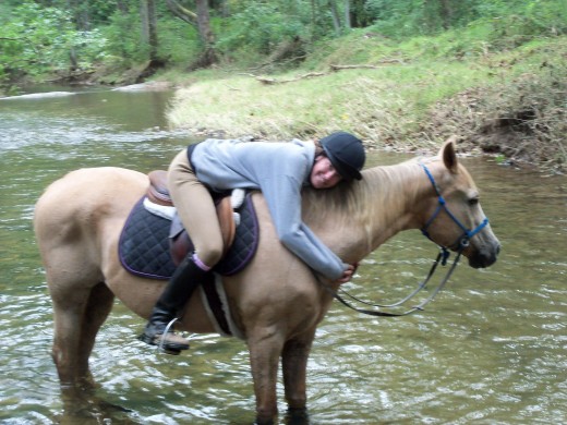 Trail horse Cory