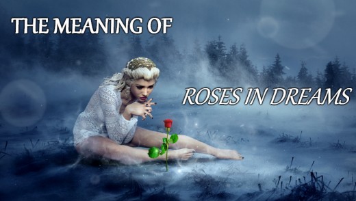 What Do Roses Mean In Dreams Exemplore