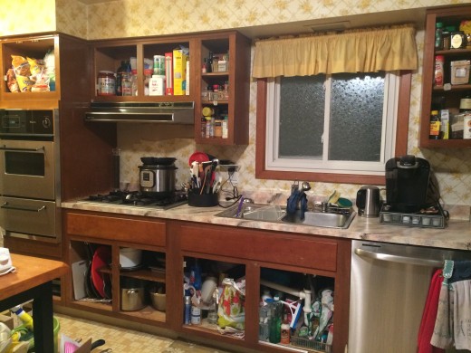 Doors and hardware removed.  Not it's really getting hideous. 