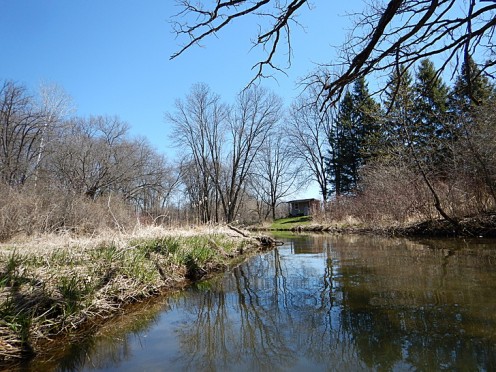 A Spring-Fed Creek in the Valley