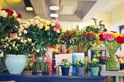 What to Consider When Buying a Flower Vase